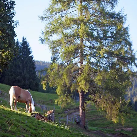 In Near Slopes, Cleaning Included Wagrain